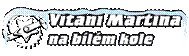 Popis: Popis: v�t�n�2